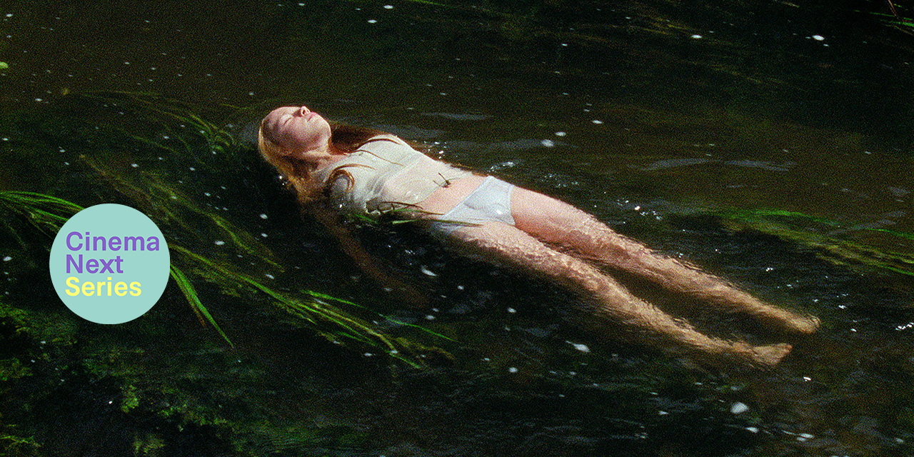 ZALESIE (VIRGIN WOODS)