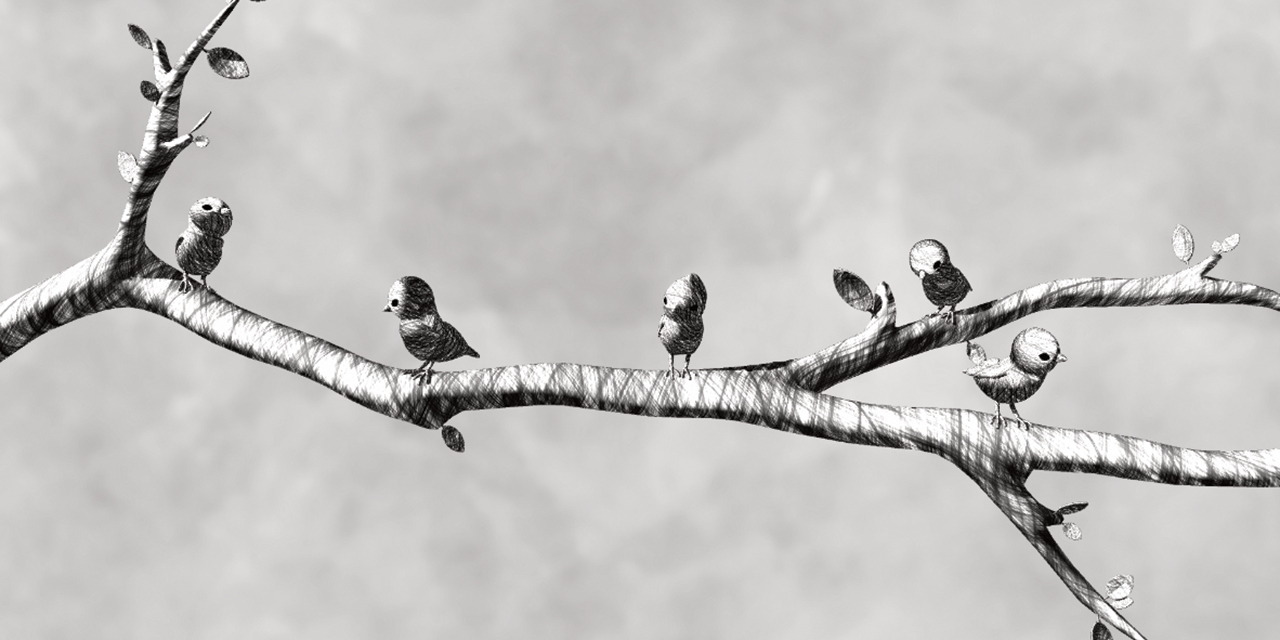 Bird on the Wire